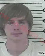 Booking photo of Tyler James Carr, Carter County, Feb 14, 2018