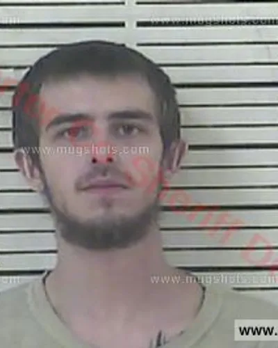 Booking photo of Thomas Neil Williams, Carter County, Jun 7, 2017