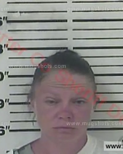 Booking photo of Nicole Renee Edwards, Carter County, Jul 22, 2017