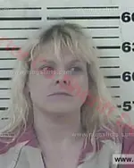 Booking photo of Tracy Lynn Roberts, Carter County, Jun 28, 2017