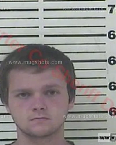 Booking photo of Sebastian Christian-Dominque Wilmoth, Carter County, Jul 31, 2017