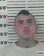 Booking photo of Samuel Lee Garrison, Carter County, Apr 11, 2016