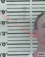 Booking photo of Bobby Micheal Williams, Carter County, Feb 2, 2018