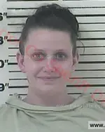 Booking photo of Samantha Sue Robinson, Carter County, Feb 24, 2017