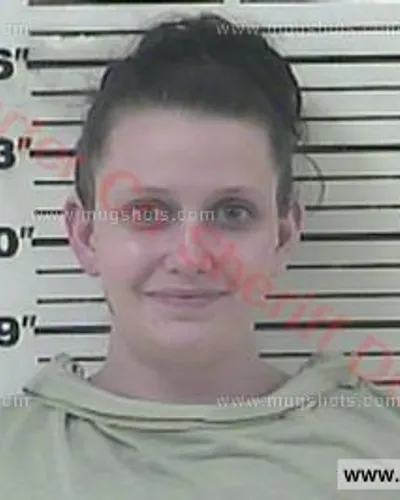 Booking photo of Samantha Sue Robinson, Carter County, Feb 24, 2017