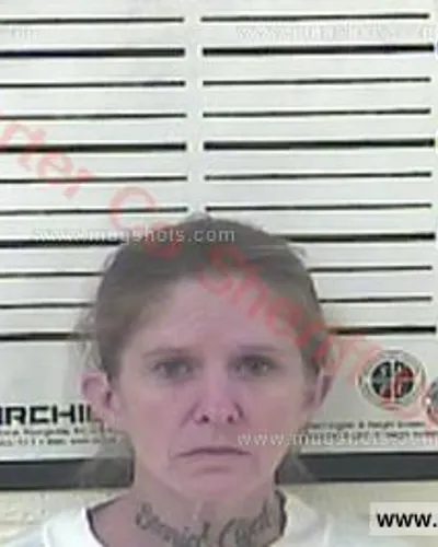 Booking photo of MELINDA SUE WILLIAMS Sparks, Carter County, Aug 14, 2017