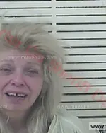 Booking photo of Linda Lee Mcconnell, Carter County, Mar 4, 2017