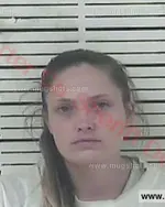 Booking photo of Rachel Nicole Gibson, Carter County, Nov 25, 2017