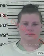 Booking photo of Kristi Michele Lopez, Carter County, Jan 1, 2017