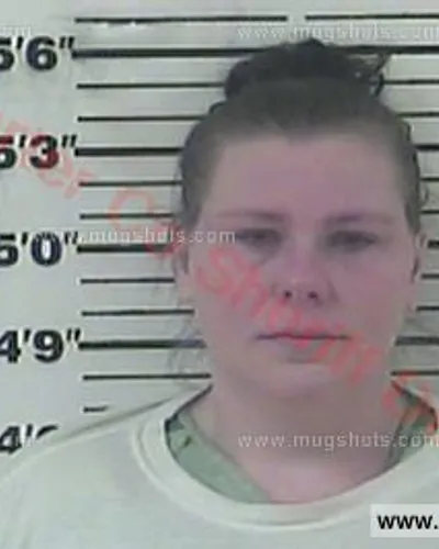 Booking photo of Kristi Lopez, Carter County, Jan 1, 2017