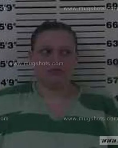 Booking photo of Linda Salyers, Carter County, Jun 2, 2014