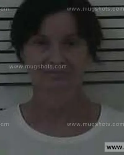 Booking photo of Susan Renee Snyder, Carter County, Nov 10, 2014