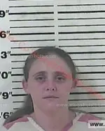 Booking photo of Lisa Sue Parlier, Carter County, Aug 24, 2015