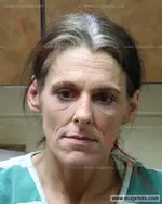 Booking photo of Rachel Sue Campbell, Carter County, Nov 29, 2018