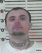 Booking photo of Amos Kieth Stout, Carter County, Jul 12, 2016