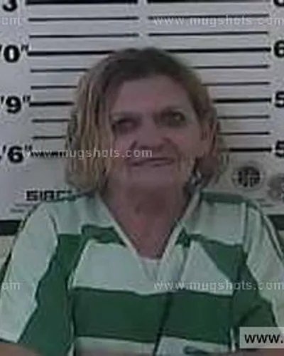 Booking photo of Vicki Vandeventer, Carter County, Jul 10, 2013