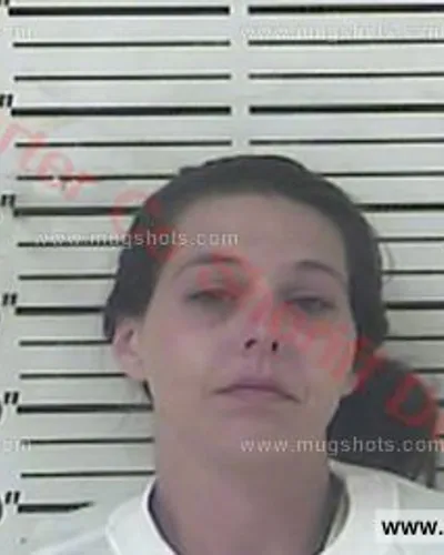 Booking photo of Leigh Wiggins, Carter County, Oct 21, 2017