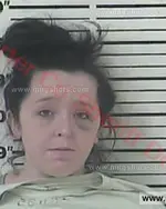 Booking photo of Cassie Johanna Marie Phillips, Carter County, Sep 4, 2017