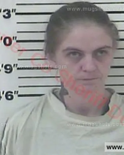 Booking photo of Ashley Ledbetter, Carter County, Feb 13, 2017