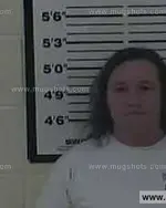 Booking photo of Elizabeth Ann Birchfield, Carter County, Jan 8, 2015