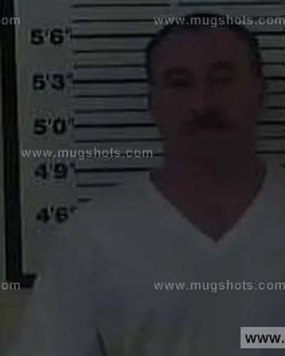 Booking photo of RYAN Keith STEELE, Carter County, Jan 31, 2015