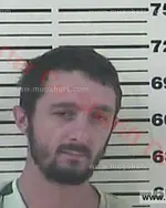 Booking photo of Justin Michael Trivette, Carter County, Aug 2, 2017