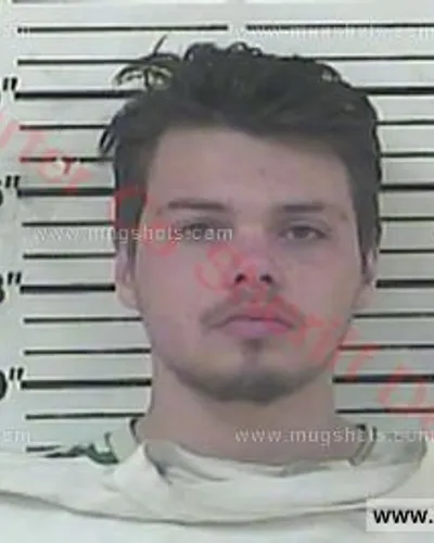 Booking photo of Landon Kaleb Ambers White, Carter County, Nov 10, 2017