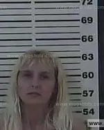 Booking photo of Kristie Dawn Oliver, Carter County, Aug 3, 2013