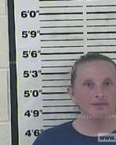 Booking photo of Sara Page Mitchell, Carter County, Jun 8, 2015