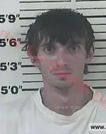 Booking photo of Kristopher Michael Collins, Carter County, May 31, 2016