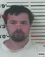 Booking photo of Justin Lee Mcclemons, Carter County, Nov 17, 2016