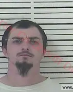 Booking photo of Thomas Ray Reed, Carter County, Nov 23, 2016