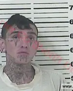 Booking photo of Samuel Lee Garrison, Carter County, Jun 20, 2016