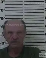 Booking photo of Scotty Lee Lewis, Carter County, Aug 20, 2013