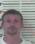 Booking photo of JUSTIN SINCLAIR PALMER, Carter County, Aug 12, 2017