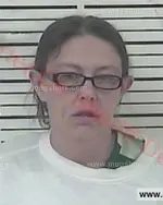 Booking photo of Rebecca Dawn Vest, Carter County, Feb 4, 2017