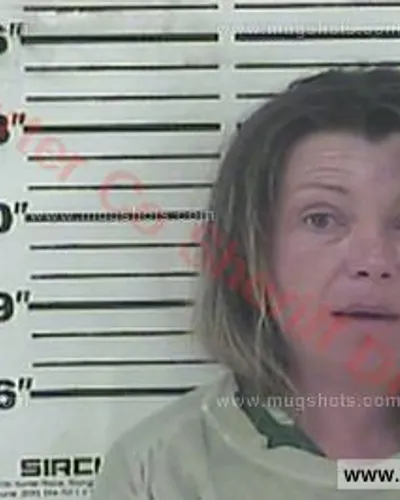 Booking photo of Sabrina Stiltner, Carter County, Mar 26, 2017