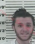 Booking photo of Taylor Gage Henry, Carter County, Dec 15, 2017