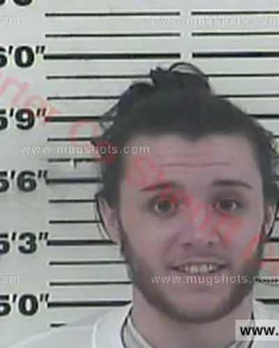 Booking photo of Taylor Gage Henry, Carter County, Dec 15, 2017