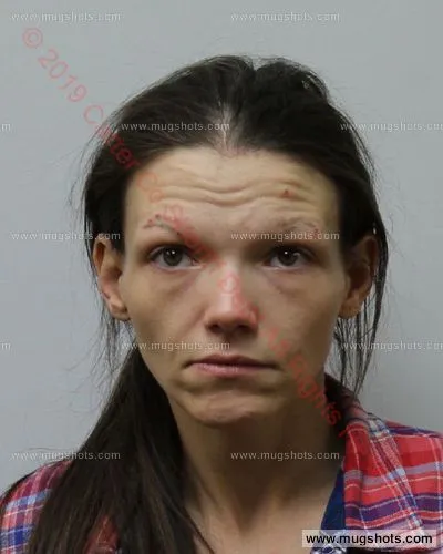 Booking photo of Tara H Honeycutt, Carter County, Mar 6, 2019