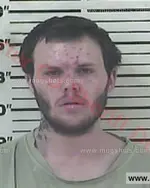 Booking photo of Nicholas Wayne Richardson, Carter County, Apr 25, 2017