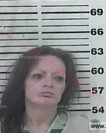 Booking photo of Terry Loiuse Vanosdol, Carter County, Nov 29, 2018