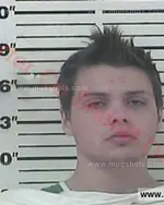 Booking photo of Landon Kaleb Ambers White, Carter County, Nov 29, 2017