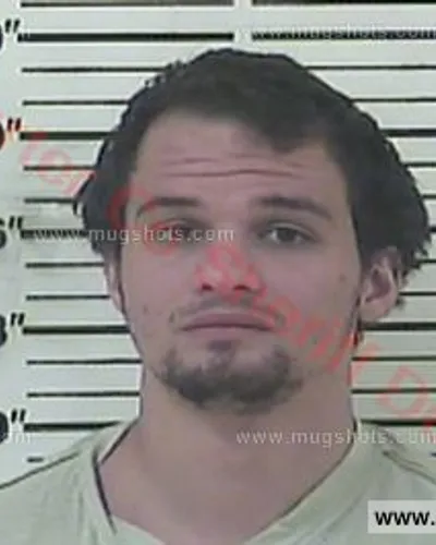 Booking photo of Nathan Benjamin Webb, Carter County, Oct 19, 2016