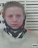 Booking photo of Ginger Lynette Stevens, Carter County, Apr 29, 2017