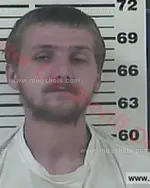 Booking photo of Austin Tyler Malone, Carter County, Nov 3, 2016