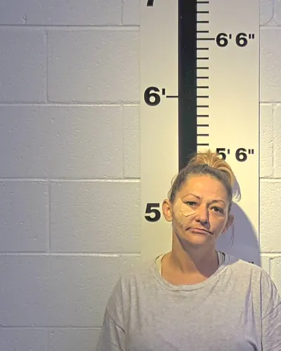 Booking photo of AMANDA F SEAL, Claiborne County, Jul 8, 2025