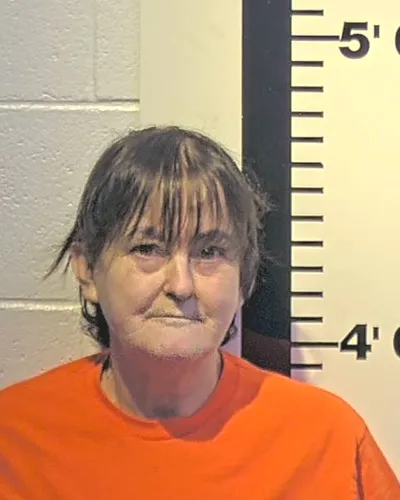 Booking photo of TERRI J ELLIS, Claiborne County, Nov 22, 2025