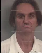 Booking photo of Dale Robert Wasserman, Davidson County, Jun 18, 2012