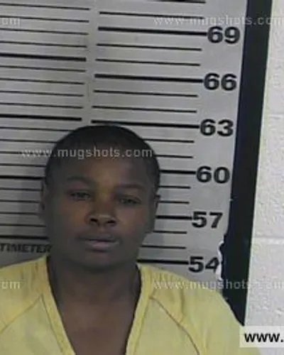 Booking photo of Angela Powell, Dyer County, May 15, 2016